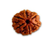 Six Mukhi