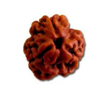 Three Mukhi